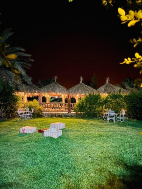 Paradis Touareg, Zagora